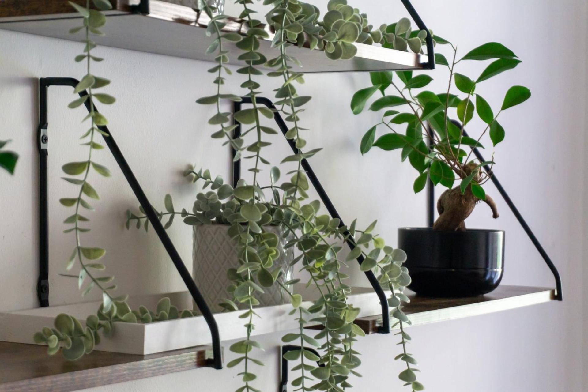 Apartment With Garden Close To Stadthalle, Westbahnhof Βιέννη Εξωτερικό φωτογραφία